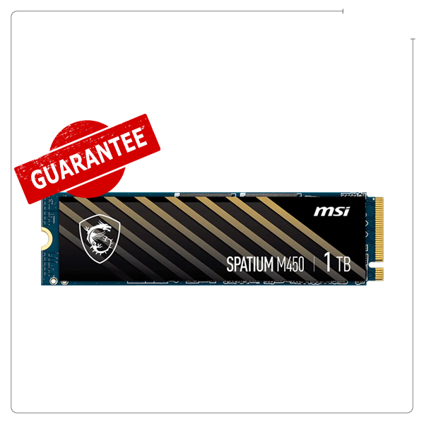 اس اس دی اینترنال ام اس آی SPATIUM M450 M.2 یک ترابایت